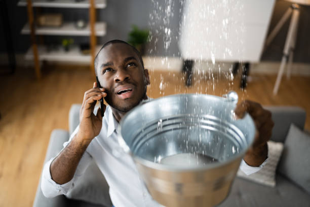 Best Commercial water damage restoration  in , ND