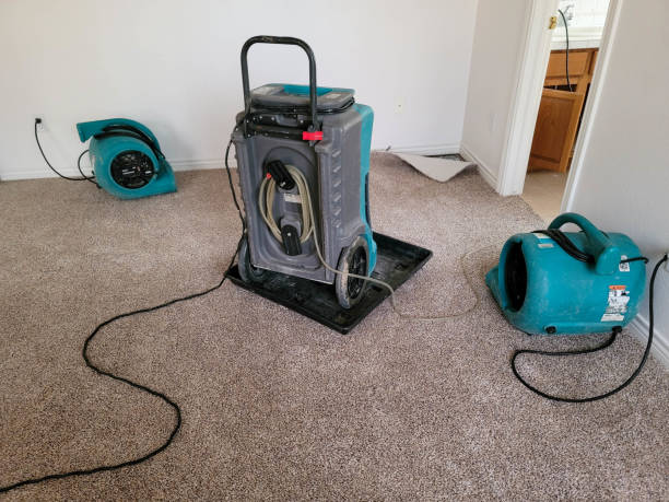 Best Flooded house restoration  in , ND