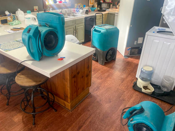 Best Water damage restoration near me  in , ND