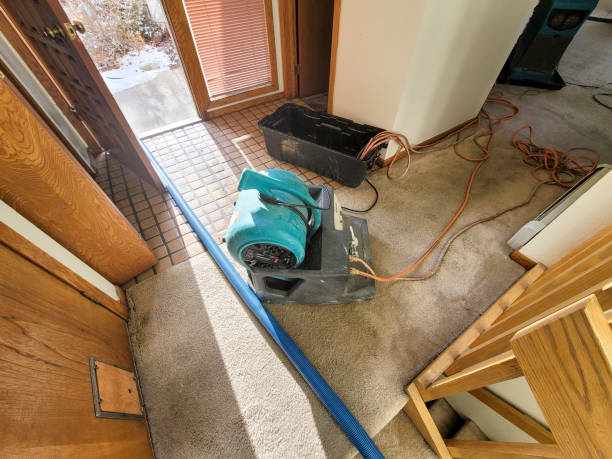 Best Mold removal after water damage  in , ND