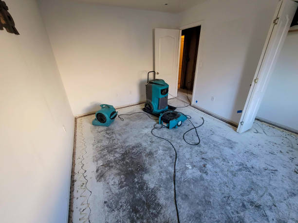 Best Carpet water damage restoration  in , ND