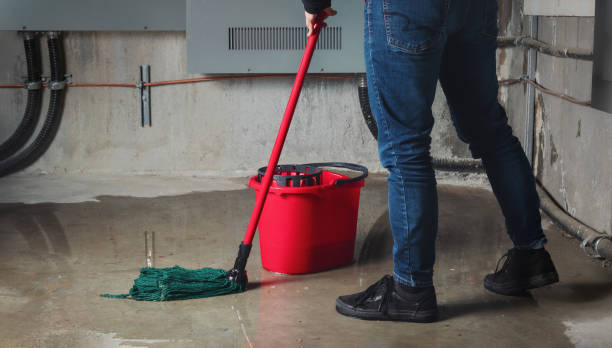 Best Mold removal after water damage  in , ND
