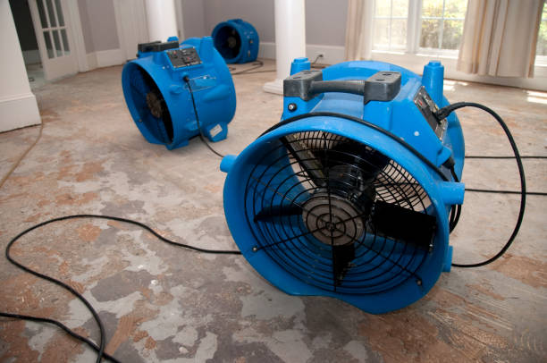 Best Water damage mitigation services  in , ND