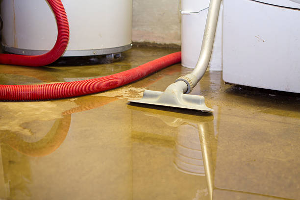 Best Ceiling water damage repair  in , ND