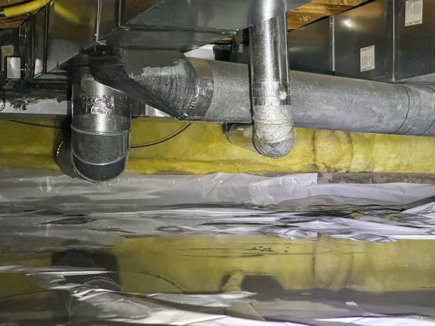 Best Water damage repair service  in , ND