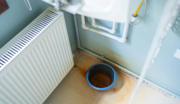 Best Basement water damage restoration  in , ND