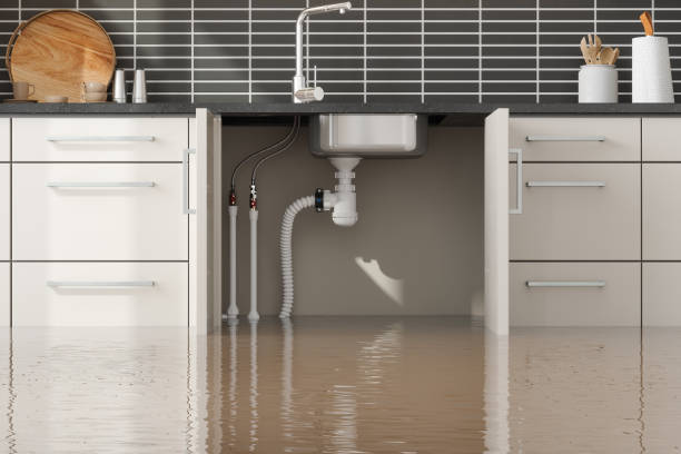 Best Sewage cleanup and water damage restoration  in , ND