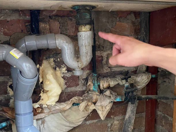 Best Local water damage restoration  in , ND